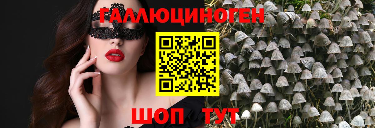 Галлюциногенные грибы MAGIC MUSHROOMS  Псилоцибиновые грибы ЛСД  Рузаевка  Вход с VPN 